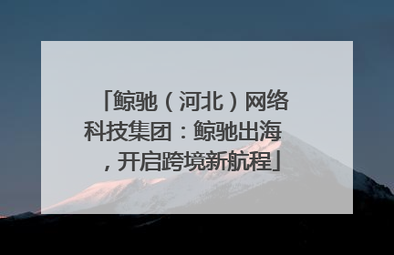 鲸驰（河北）网络科技集团：鲸驰出海，开启跨境新航程