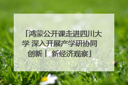 鸿蒙公开课走进四川大学 深入开展产学研协同创新丨 新经济观察
