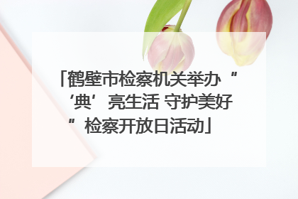 鹤壁市检察机关举办“‘典’亮生活 守护美好”检察开放日活动