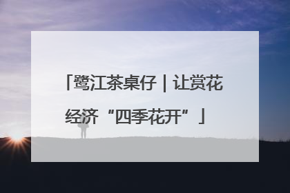 鹭江茶桌仔｜让赏花经济“四季花开”