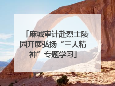 麻城审计赴烈士陵园开展弘扬“三大精神”专题学习