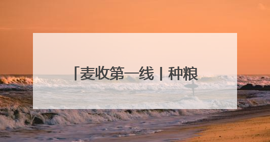 麦收第一线丨种粮大户老房：让专业的人干专业的事