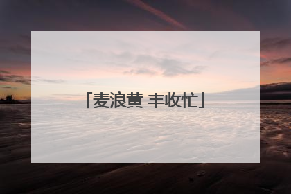 麦浪黄 丰收忙