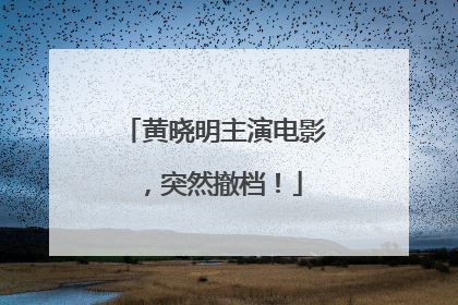 黄晓明主演电影，突然撤档！
