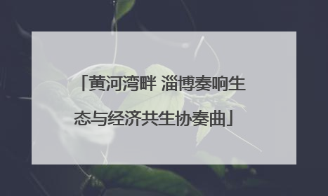 黄河湾畔 淄博奏响生态与经济共生协奏曲