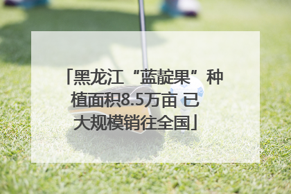 黑龙江“蓝靛果”种植面积8.5万亩 已大规模销往全国