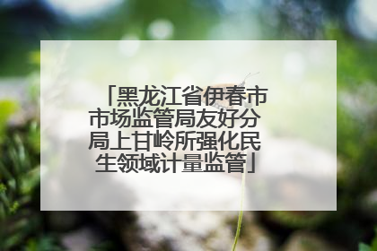 黑龙江省伊春市市场监管局友好分局上甘岭所强化民生领域计量监管