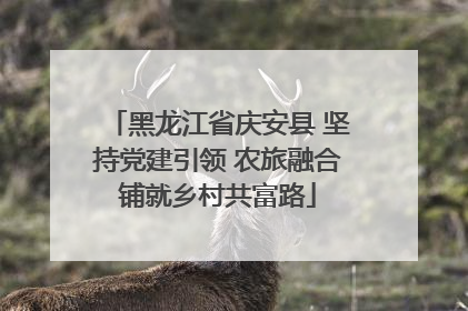 黑龙江省庆安县 坚持党建引领 农旅融合铺就乡村共富路