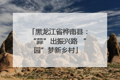 黑龙江省桦南县：“蒜”出振兴路 “园”梦新乡村