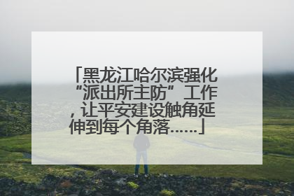 黑龙江哈尔滨强化“派出所主防”工作，让平安建设触角延伸到每个角落……