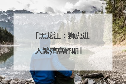 黑龙江：狮虎进入繁殖高峰期