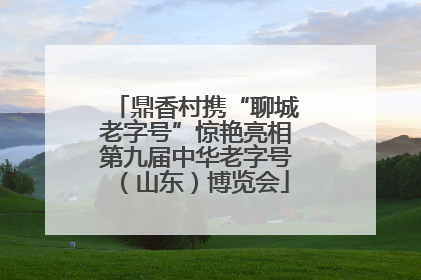 鼎香村携“聊城老字号”惊艳亮相第九届中华老字号（山东）博览会