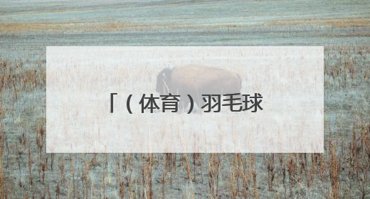 （体育）羽毛球——印尼公开赛：陈柏阳/刘毅无缘男双八强