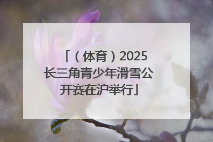 （体育）2025长三角青少年滑雪公开赛在沪举行