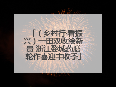 （乡村行·看振兴）一田双收绘新景 浙江婺城药膳轮作喜迎丰收季