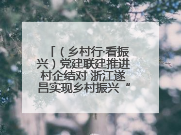 （乡村行·看振兴）党建联建推进村企结对 浙江遂昌实现乡村振兴“加速度”