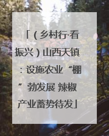 （乡村行·看振兴）山西天镇：设施农业“棚”勃发展 辣椒产业蓄势待发
