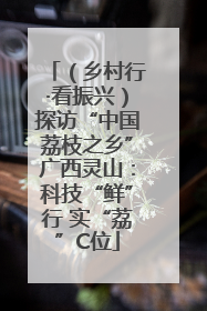 （乡村行·看振兴）探访“中国荔枝之乡”广西灵山：科技“鲜”行 实“荔”C位