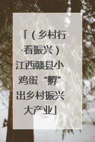 （乡村行·看振兴）江西赣县小鸡蛋“孵”出乡村振兴大产业