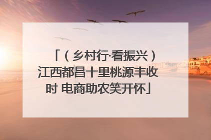 （乡村行·看振兴）江西都昌十里桃源丰收时 电商助农笑开怀
