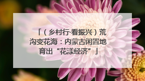 （乡村行·看振兴）荒沟变花海：内蒙古闲置地育出“花漾经济”