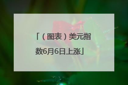 （图表）美元指数6月6日上涨