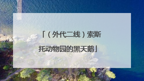 （外代二线）索斯托动物园的黑天鹅