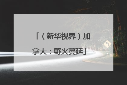（新华视界）加拿大：野火蔓延
