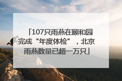 107只雨燕在颐和园完成“年度体检”，北京雨燕数量已超一万只