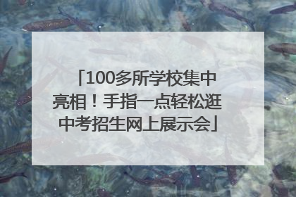 100多所学校集中亮相！手指一点轻松逛中考招生网上展示会