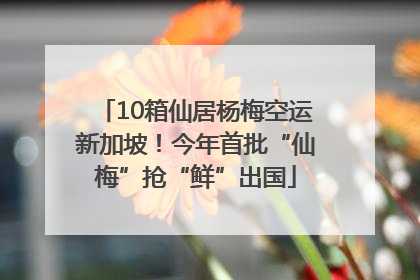 10箱仙居杨梅空运新加坡！今年首批“仙梅”抢“鲜”出国
