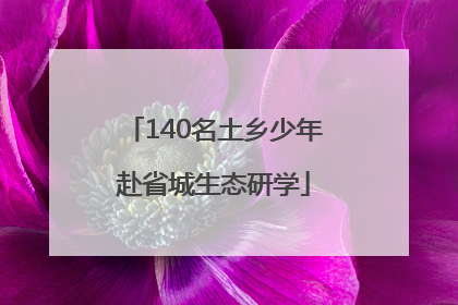 140名土乡少年赴省城生态研学