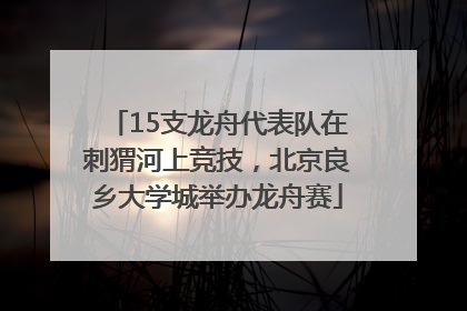 15支龙舟代表队在刺猬河上竞技，北京良乡大学城举办龙舟赛