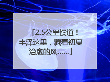 2.5公里慢道！丰泽这里，藏着初夏治愈的风……