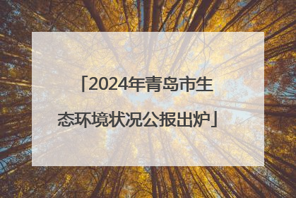 2024年青岛市生态环境状况公报出炉