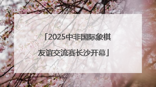 2025中非国际象棋友谊交流赛长沙开幕