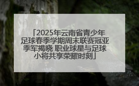 2025年云南省青少年足球春季学期周末联赛冠亚季军揭晓 职业球星与足球小将共享荣耀时刻