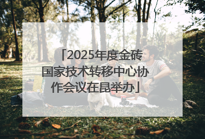 2025年度金砖国家技术转移中心协作会议在昆举办