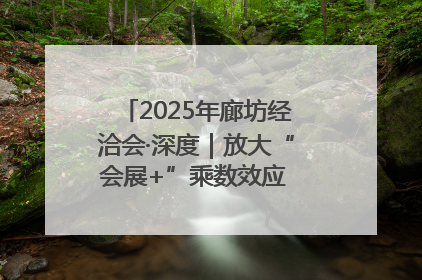 2025年廊坊经洽会·深度｜放大“会展+”乘数效应 打造消费新场景