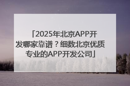 2025年北京APP开发哪家靠谱？细数北京优质专业的APP开发公司