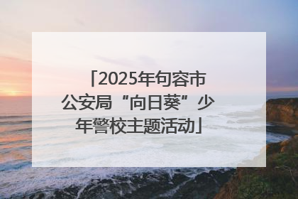 2025年句容市公安局“向日葵”少年警校主题活动