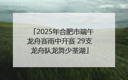 2025年合肥市端午龙舟赛雨中开赛 29支龙舟队龙舞少荃湖
