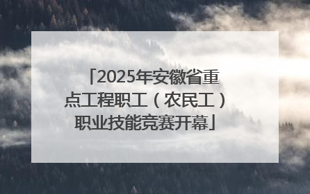 2025年安徽省重点工程职工（农民工）职业技能竞赛开幕