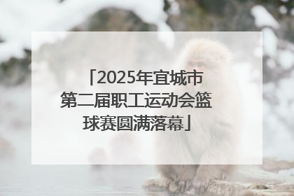 2025年宜城市第二届职工运动会篮球赛圆满落幕