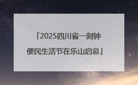 2025四川省一刻钟便民生活节在乐山启幕