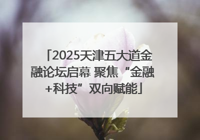 2025天津五大道金融论坛启幕 聚焦“金融+科技”双向赋能