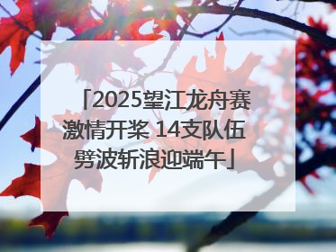 2025望江龙舟赛激情开桨 14支队伍劈波斩浪迎端午