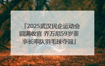 2025武汉民企运动会圆满收官 乔万尼59岁董事长率队羽毛球夺冠