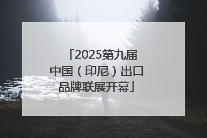 2025第九届中国（印尼）出口品牌联展开幕