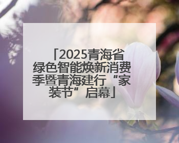 2025青海省绿色智能焕新消费季暨青海建行“家装节”启幕